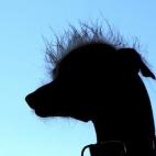 5c8aa6032000009e046f798f