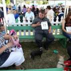 5c8aa603360000ba1a6bcb21