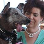 5c8aa6042300005400e6e4ee