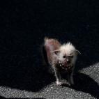 5c8aa6052400006b054c2d5f