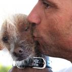 5c8aa6052300000401236ceb