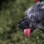 5c8aa606360000c81a6bcb25