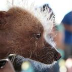 5c8aa6062400000a05a368df