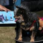 5c8aa6062300007f01236cef