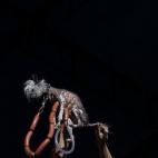 5c8aa6072400004205a368e1