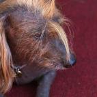 5c8aa6072500000704c95ead