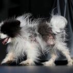 5c8aa607250000e203c95eaf