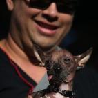 5c8aa60720000043046f7993