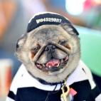 5c8aa6082500001304c95eb1