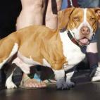 5c8aa6092000009d036f7997