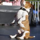 5c8aa6092300000401236cf5