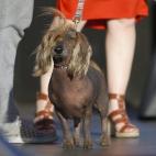 5c8aa60a2400006f054c2d69