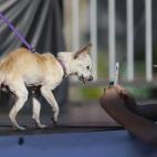 5c8aa60a230000dd04236cf9