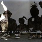 Manifestación en Madrid.