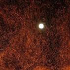 5c8b621b2300002f00e80eff