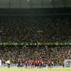 5c8b62f8230000d504249a5c