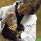 5c8acde42000009d036fc7c9