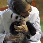 5c8acde43b000054066c9a85