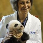 5c8acde52000009e046fc7cb