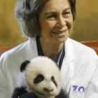 5c8acde53b000072066c9a89