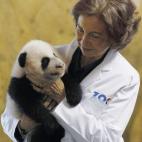 5c8acde52300007f0123bd44