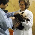 5c8acde62000009e046fc7cf