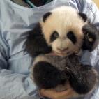 5c8acde620000043046fc7d1