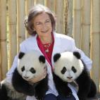 5c8acde7230000d50423bd48