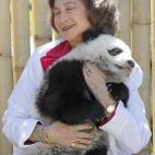 5c8acde73b000054066c9a8f