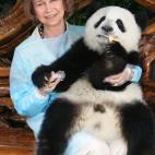 5c8acde72500000d04c9ad8f