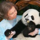 5c8acde8360000ba1a6c1a3d