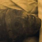 5c8aa47d230000dd04236924