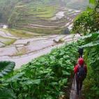 Foto de damienmalezet/ Eyeem.