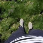 Foto de grimlenn/ Eyeem.