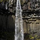 5c8b234f240000f404a43061