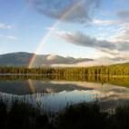 5c8b235022000033001a610d