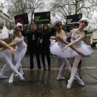 5c8a5416260000e104fe368d