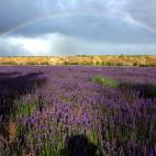 5c8b2353360000ba1a6c90ce