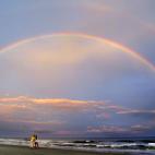 5c8b235322000051001a6119