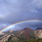 5c8b235a240000f404a4307b