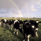 5c8b235a3b000070066d11b5