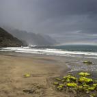 5c8b235c2300002f00e7ac5a