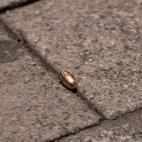 5e4e2698230000e8020be4e7