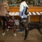 Con el perro, a votar. En Barcelona