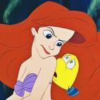 5c8b291a2400006d054d0236