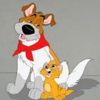 5c8b291b360000e01c6c9eb7