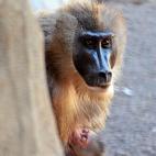 5c8b6b52240000f404a4aab7