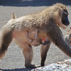 5c8b6b522400006b054d6e28