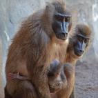 5c8b6b532300003000e82597