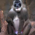 5c8b6b533b000072066d89ec